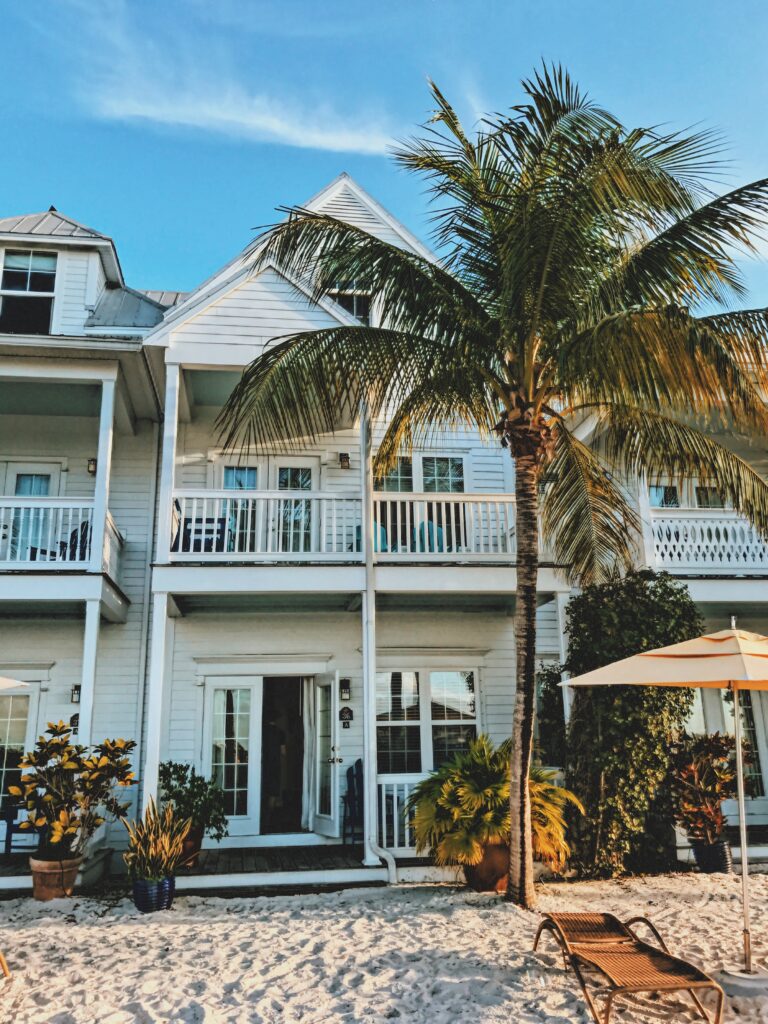 Key_Parrot_Key_west_La_vie_boheme