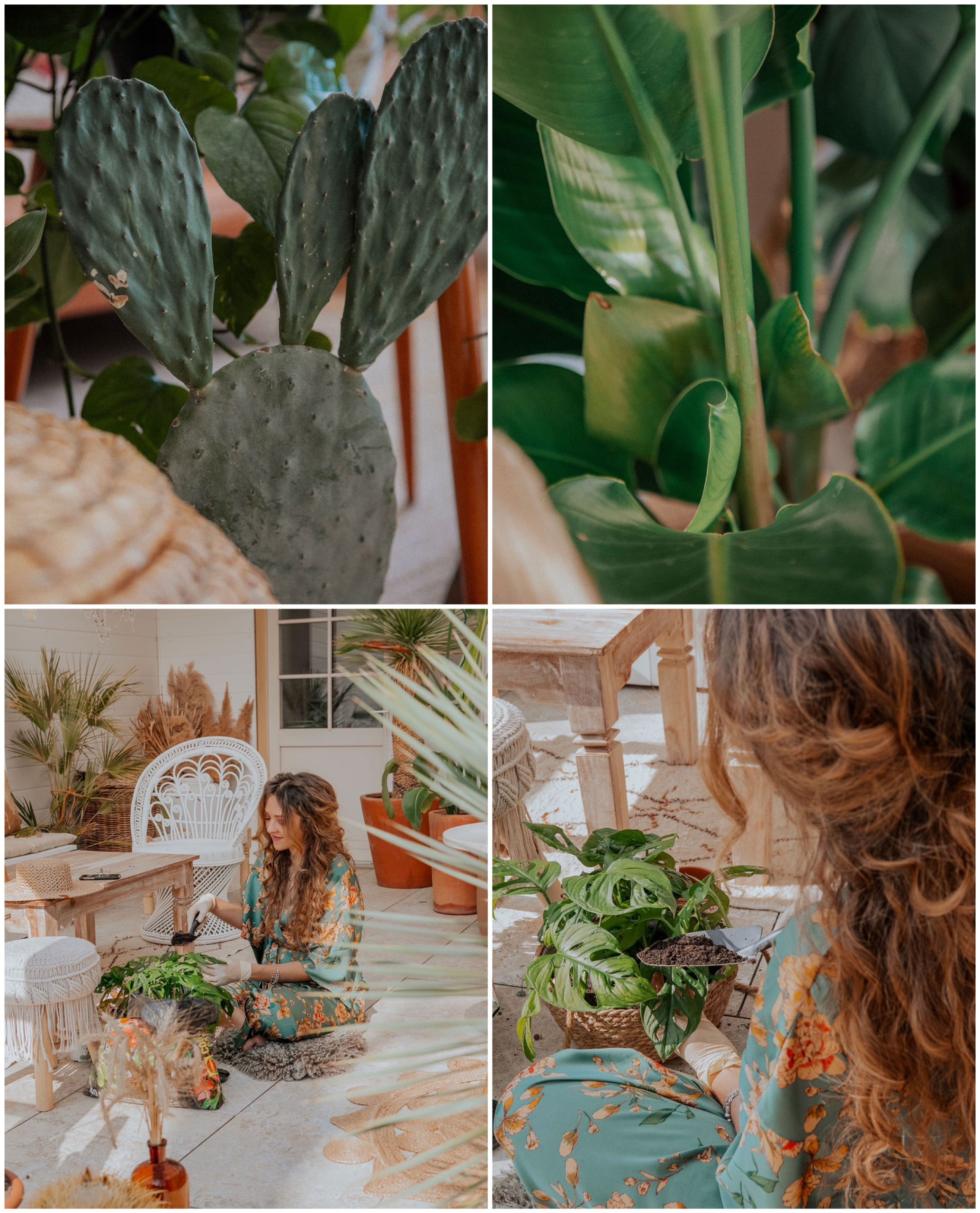 Celine_La_Vie_Boheme_Plantes_interieur_boheme_2